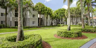 Coconut Palm Club Gallery 14