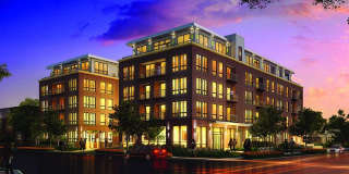 The Elysian Gallery 653