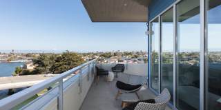 The Triton Gallery 13