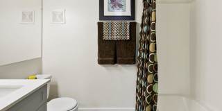 Palm Crest at Station 40 Gallery 10