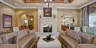 The Palms at Briarwood Gallery 16