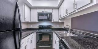 Rise on Cactus Gallery 39