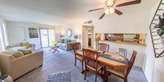 Forest Creek Gallery 7