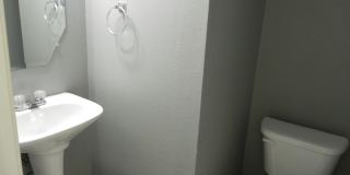 6739 TERRA RYE Gallery 10