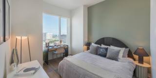 The Carson Gallery 3