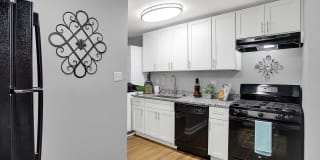 Verona at Silver Hill Gallery 3