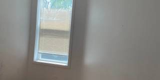 Spacious south side 3-bedroom beauty Gallery 4