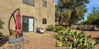 13636 N SAGUARO Boulevard Gallery 6