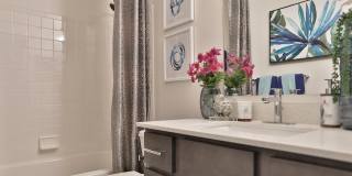 Island Club Gallery 11