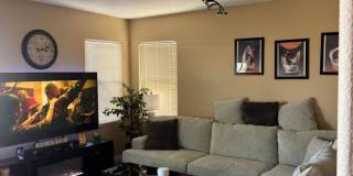 Eco-Friendly 4BR 2.5Bath House in Las Vegas Gallery 5