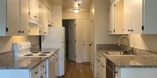1 Bed • 1 Bath Downstairs Unit - Updated Flooring Gallery 1