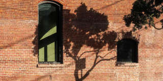 The Fitzgerald Gallery 10