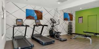 Twin Palms Gallery 22