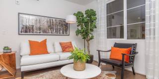 Vineyards Gallery 127