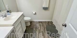 260 Winter Shadow Loop Gallery 48