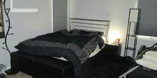 Allston 3 bed 2.5 bath - 9/1 Gallery 12
