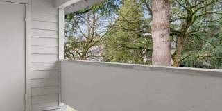 Windsor Apartments Gallery 14