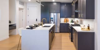Modera Cherry Creek Gallery 2