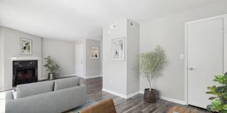 Luna Pointe Gallery 4