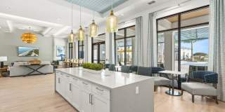Marlowe Jacaranda Gallery 7