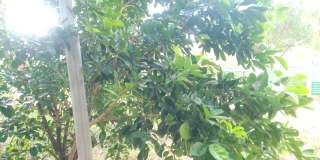 4322 Fir - 2/Bed 1/Bath - $1275.00/month Gallery 17