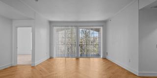 Remi Gallery 14