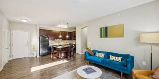 AMP Luxury Apartments Gallery 11