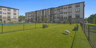 Comet Sneads Ferry Gallery 29