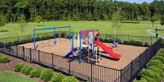 Addison Crater Woods Gallery 26