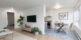 The Larkspur Gallery 6