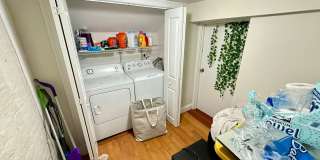 NIce 4 bed in Mission Hill Gallery 20