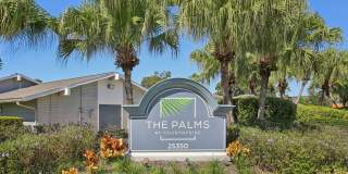 The Palms at Countryside Apartments Gallery 25