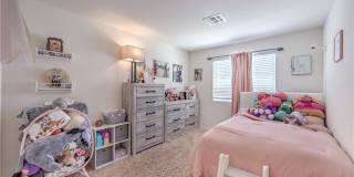 6816 Citron Mist Court Gallery 27