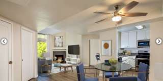 Warner Pointe Gallery 2