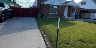 1374 Maple Drive Gallery 7