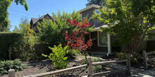 Stunning 4 Bedroom, 3 Bath Single Family Home with Spacious Yard - Available July 15th! Gallery 1