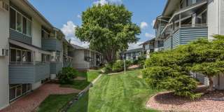 Central Heights Apartments Gallery 16