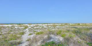1 Bedroom Beachfront Condo, Steps away from Beach Access! Gallery 29