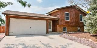 Huge yard with Pikes Peak Views! Gallery 3
