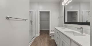 Solis Buffaloe Gallery 60