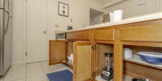 20 Woodhill Dr. Gallery 16