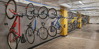 The Hamilton Gallery 17