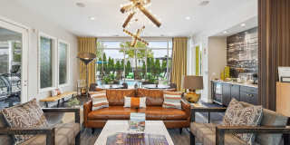 Trotters Park Gallery 3