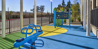 Vineyards Gallery 95