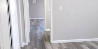 Close to Stapleton - Anschutz - DIA - Renovated 1 Bedroom With Balcony Gallery 54