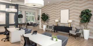 Cielo View Gallery 11