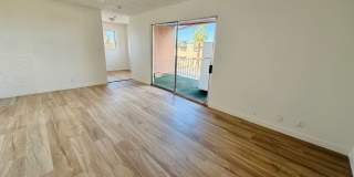 537 KOLSON CIR Gallery 4