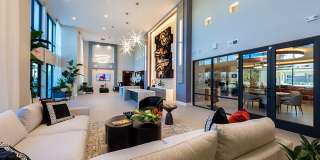 San Palmas Gallery 19
