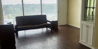 Midtown High Rise Apartment Available Now Gallery 1