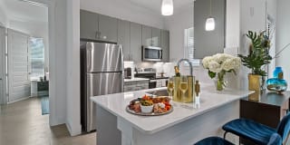 Reveal at Onion Creek Apartments Gallery 20